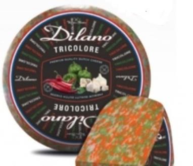 Dilano tricolor 