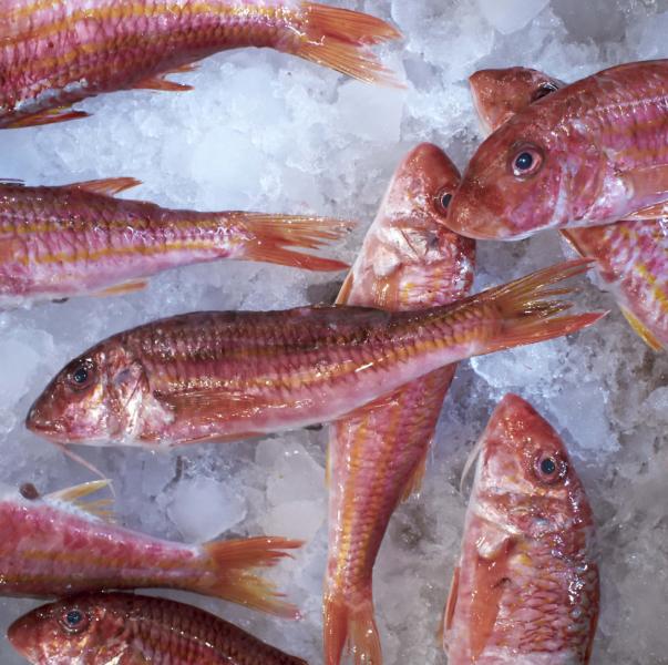 BARBUN EVISCERAT 1 KG